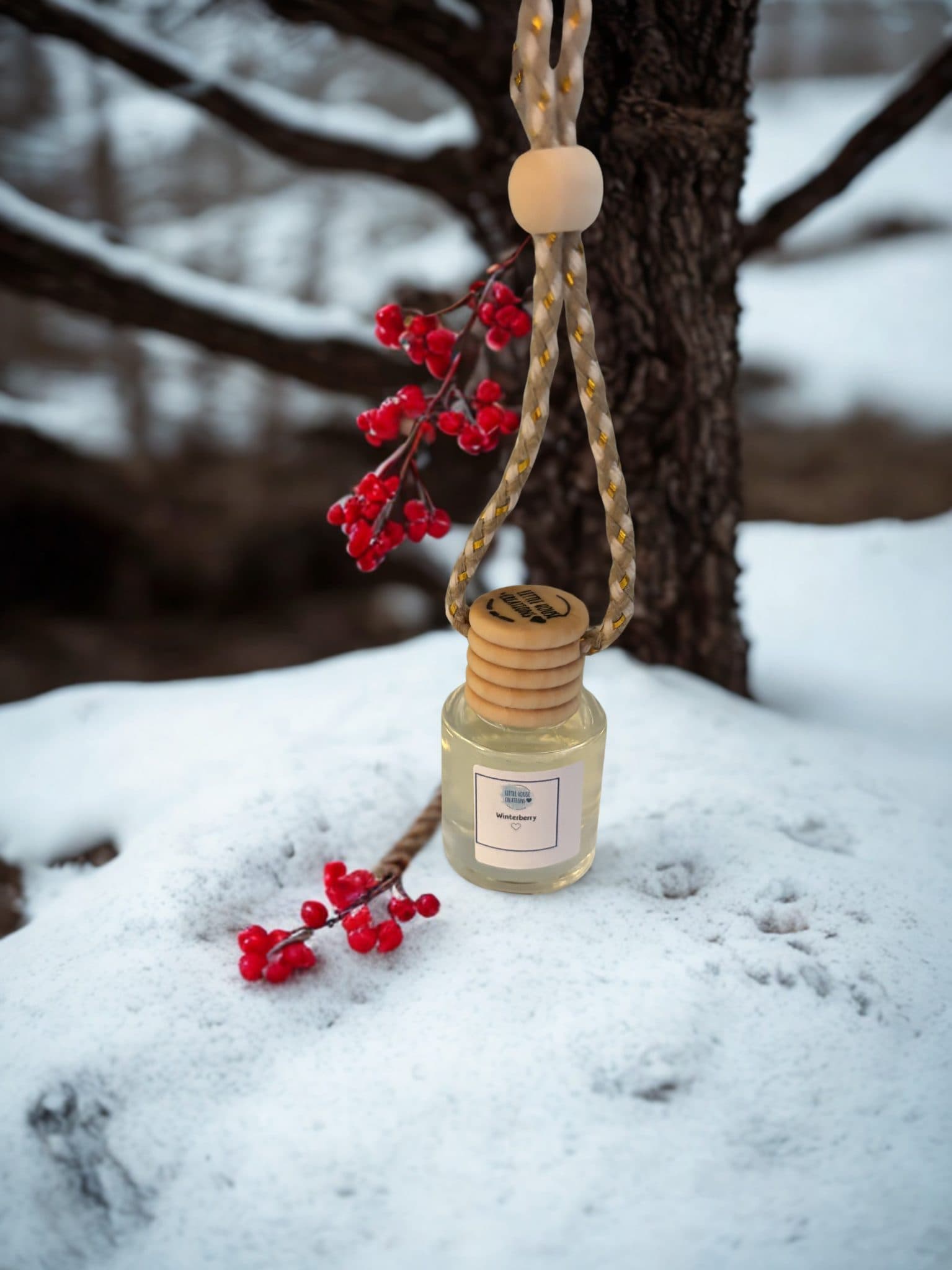 Winterberry Air Diffusers