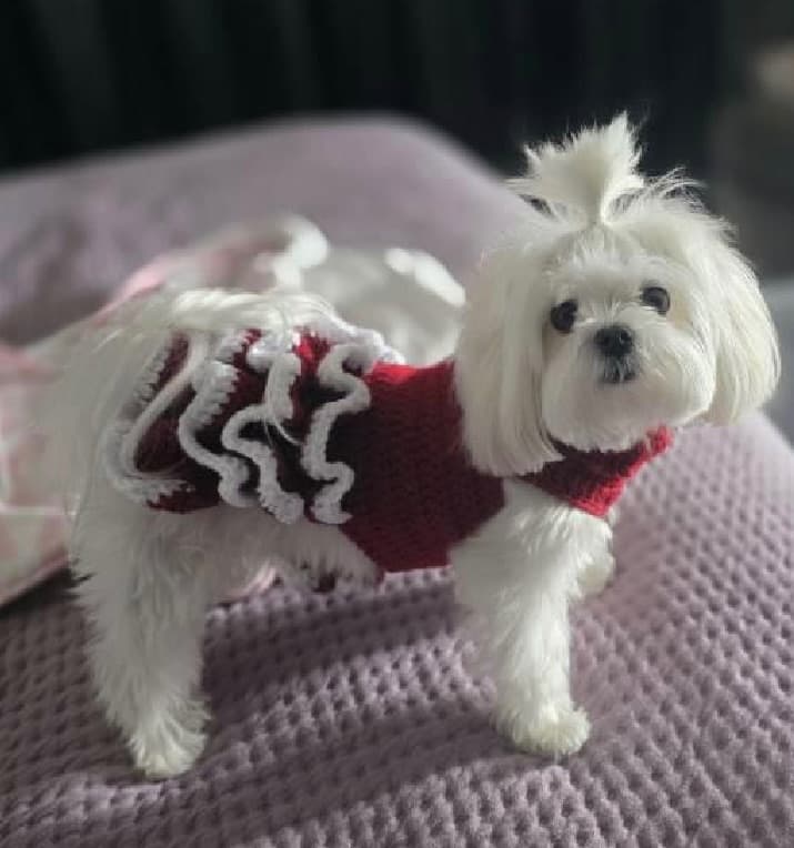 Pet Tutu Sweaters